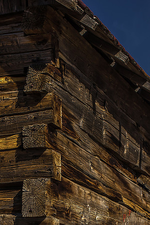 Elementary Architecture