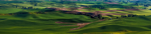 Palouse Valley Panorama