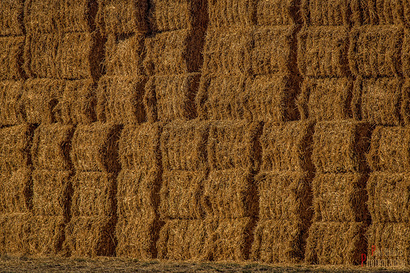Hay