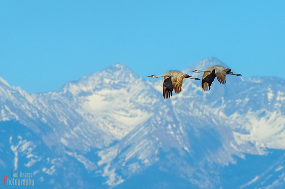 Flying High
