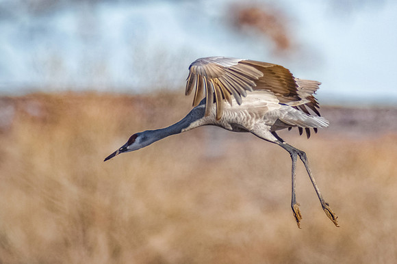 Landing