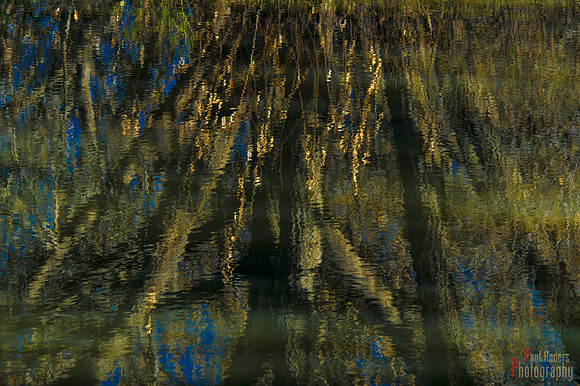 Reflections