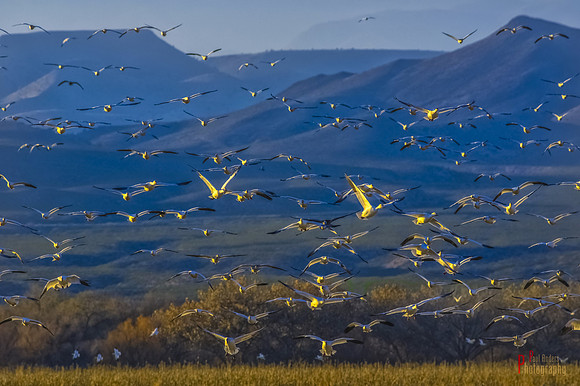 Takeoff!