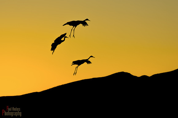 Final Approach