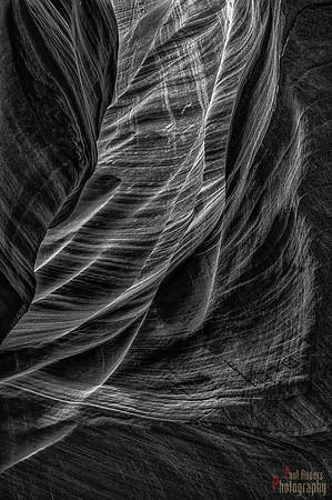 Waves 2