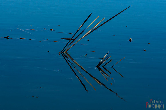 Sticks