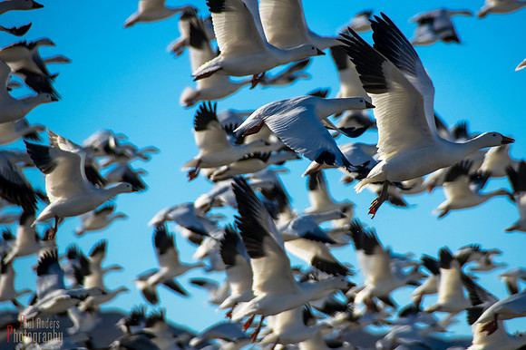 Takeoff!!