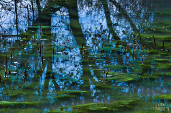 Reflections