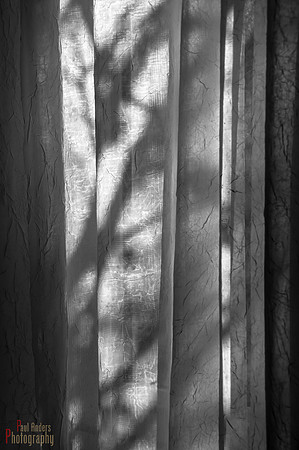 Lines and Shadows