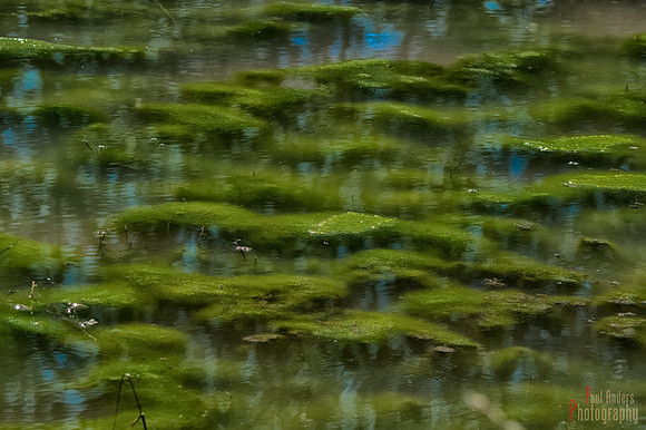Reflections