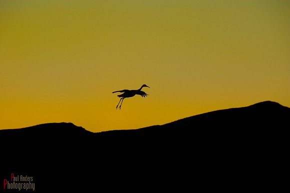Final Approach